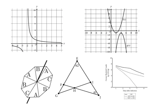 Math Diagrams - Latex (5 images) - Image 2